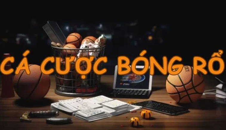 Hướng Dẫn Tìm Hiểu Cá Cược Bóng Rổ SM66 Chi Tiết Dành Cho Tân Thủ