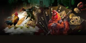 Phân Tích Chiến Thuật Và Cách Chơi Đá Gà GA28 Tại SM66 Hiệu Quả Nhất