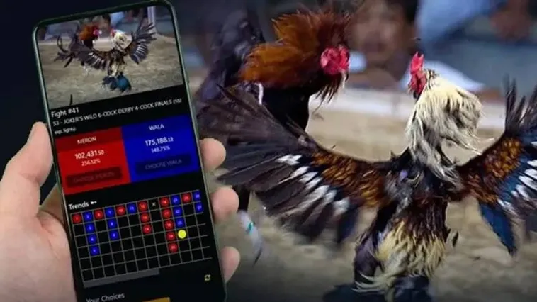 Trải Nghiệm Đỉnh Cao Tại Sân Chơi Cá Cược Đá Gà SM66 Hàng Đầu Châu Á